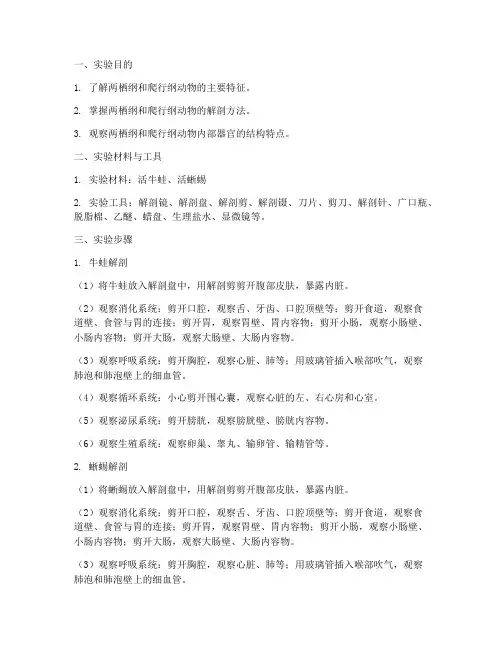 两栖纲及爬行纲实验报告