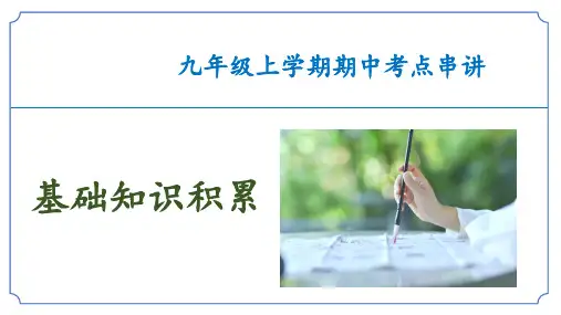 九年级语文专题01 基础知识积累(考点串讲)