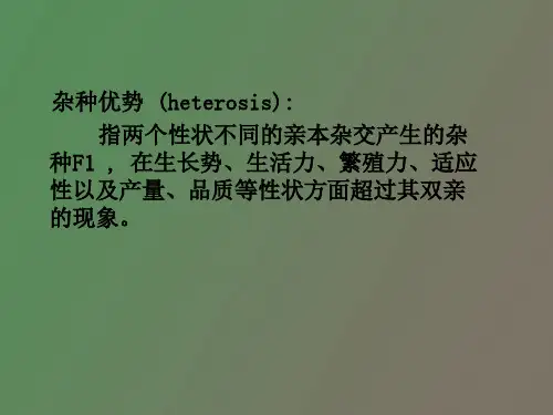 杂交优势的利用