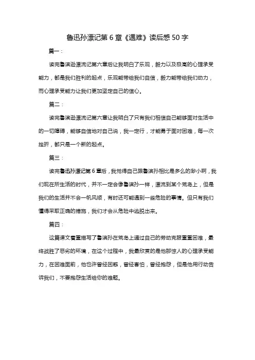 鲁迅孙漂记第6章《遇难》读后感50字
