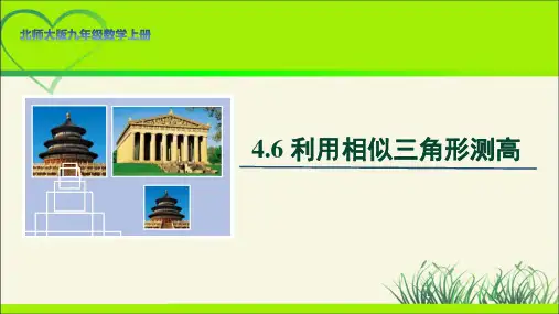 北师大版九年级数学上册《利用相似三角形测高》示范公开课教学课件