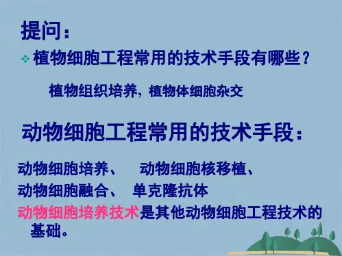 动物细胞培养和核移植技术[](共27张PPT)