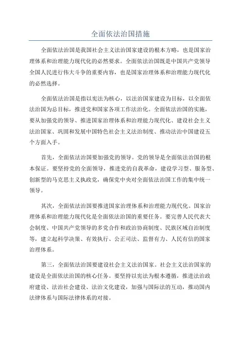 全面依法治国措施