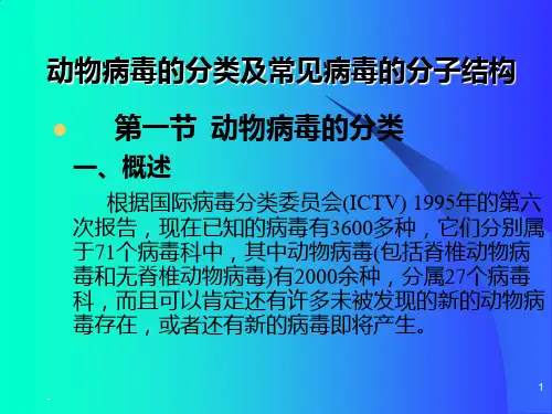 动物病毒的分类及常见病毒的分子结构PPT课件