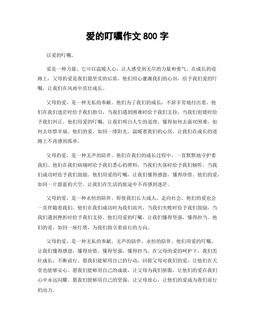 爱的叮嘱作文800字