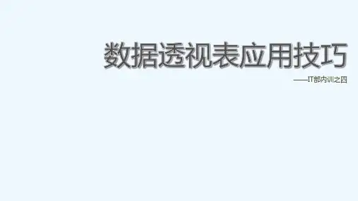 Execl数据透视表培训