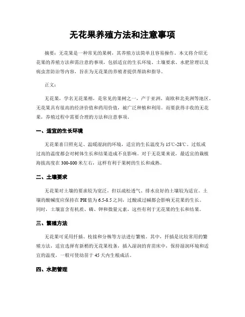 无花果养殖方法和注意事项