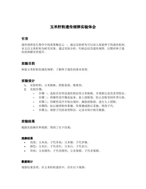玉米籽粒遗传规律实验体会