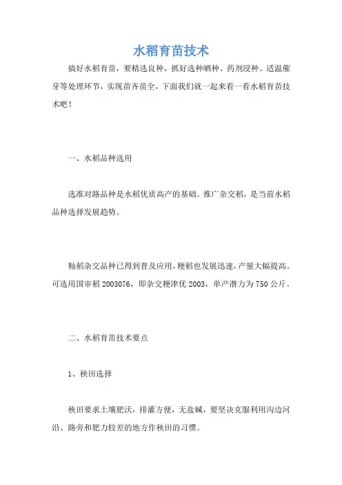 水稻育苗技术