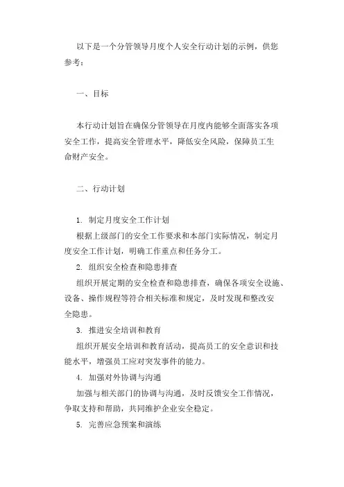分管领导月度个人安全行动计划