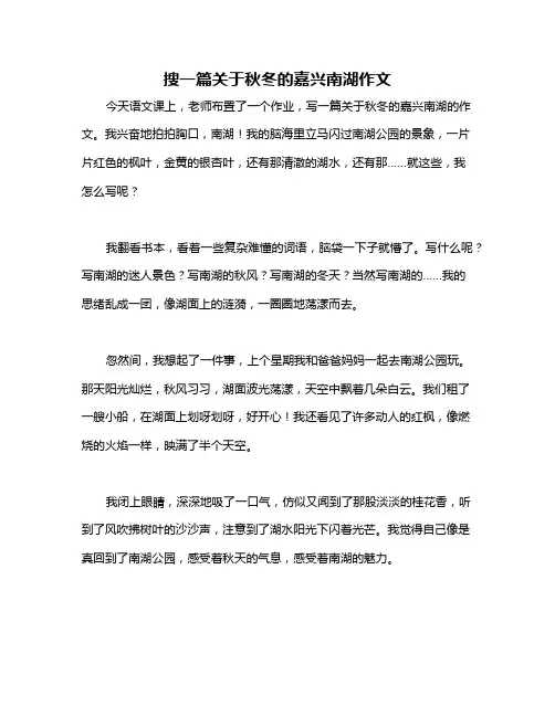 搜一篇关于秋冬的嘉兴南湖作文