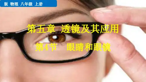 [人教版]《眼睛和眼镜》PPT课件1