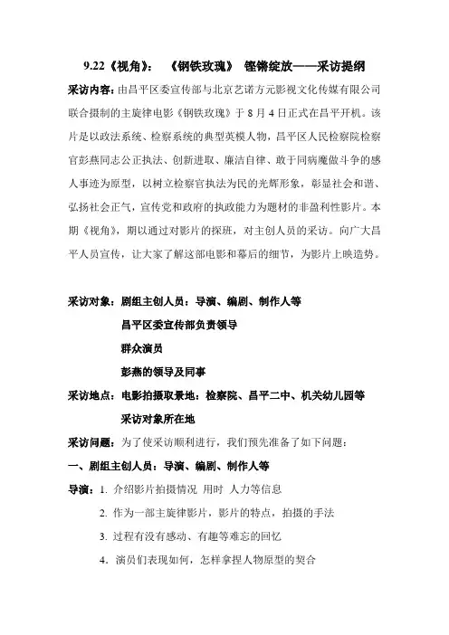 《视角》采访提纲