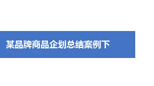 某品牌商品企划总结案例下
