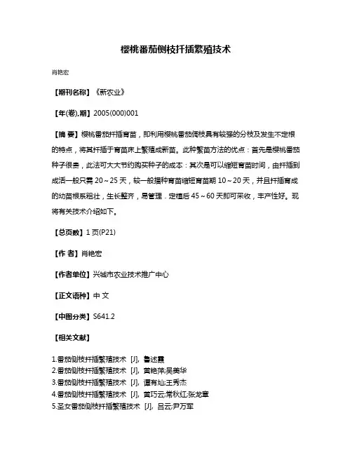 樱桃番茄侧枝扦插繁殖技术