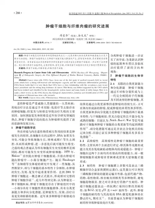肿瘤干细胞与纤维肉瘤的研究进展冯宝华
