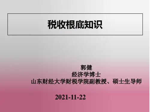 《税收基础知识理论》幻灯片PPT