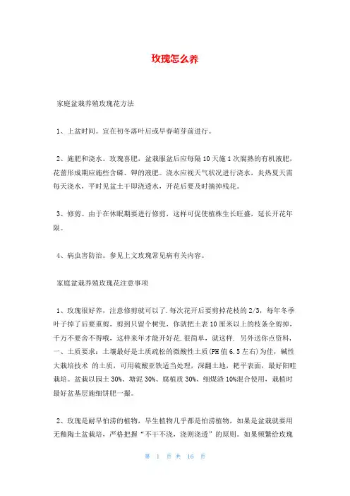玫瑰怎么养