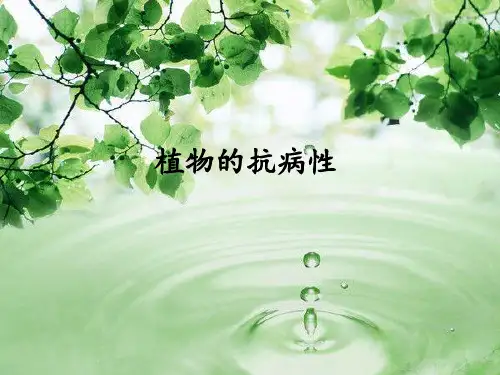 植物的抗病性
