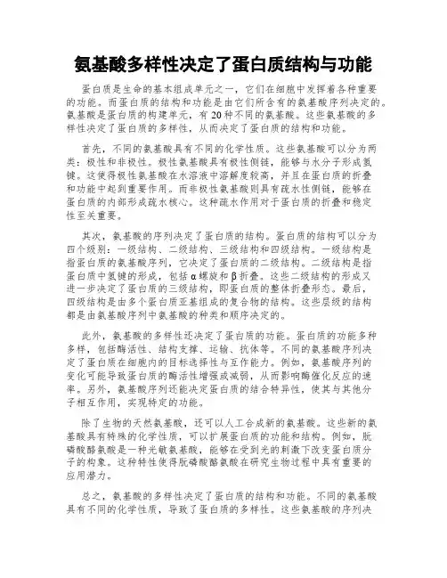 氨基酸多样性决定了蛋白质结构与功能