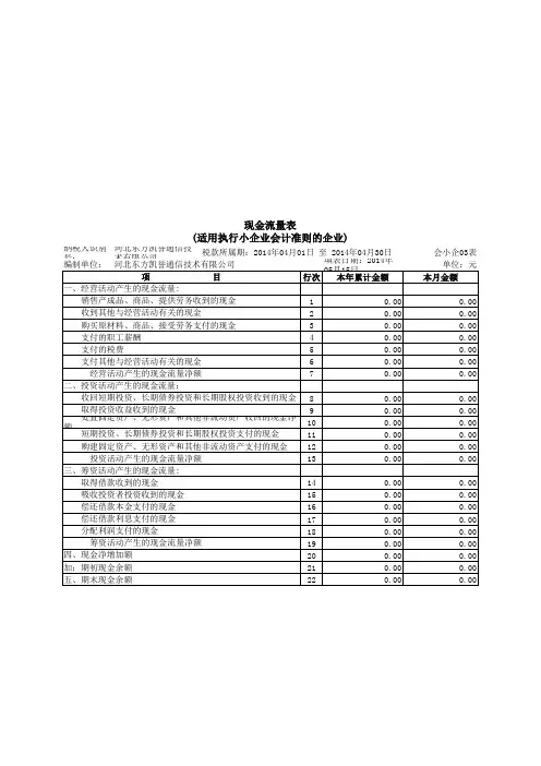 现金流量表(适用于执行小企业会计准则财务报表)资料讲解