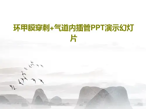 环甲膜穿刺+气道内插管PPT演示幻灯片共28页
