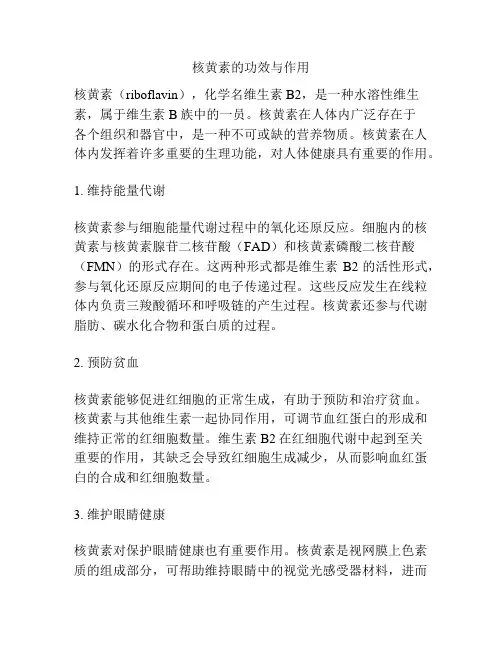 核黄素的功效与作用