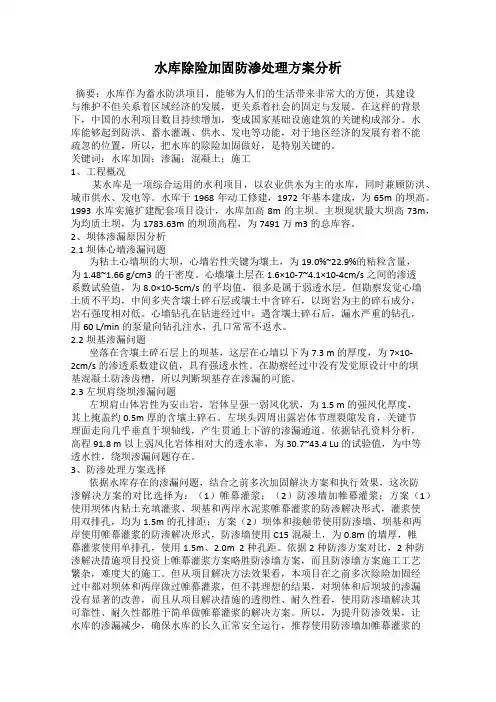 水库除险加固防渗处理方案分析