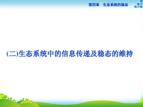 高中生物苏教版必修3课件：第四章第二节 生态系统的稳态(二)
