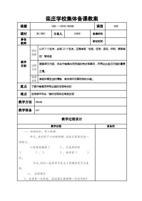 猫+母鸡教学设计