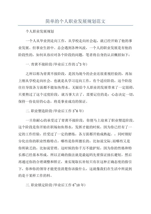 简单的个人职业发展规划范文