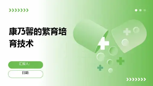 康乃馨的繁育培育技术