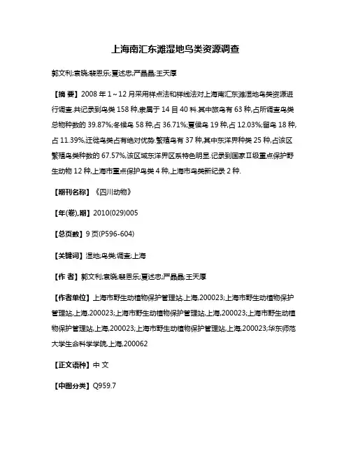 上海南汇东滩湿地鸟类资源调查