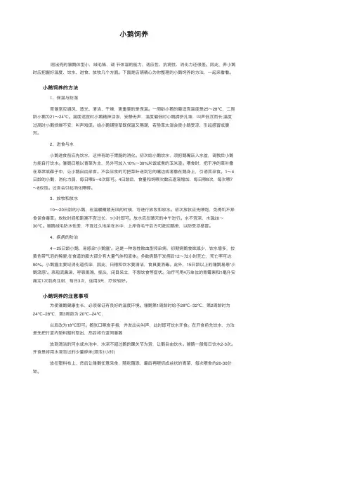 小鹅饲养——精选推荐
