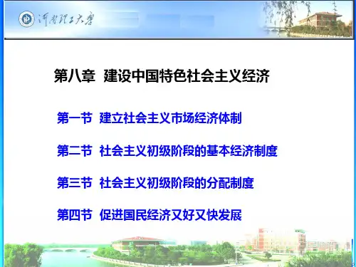 毛概第八章PPT课件