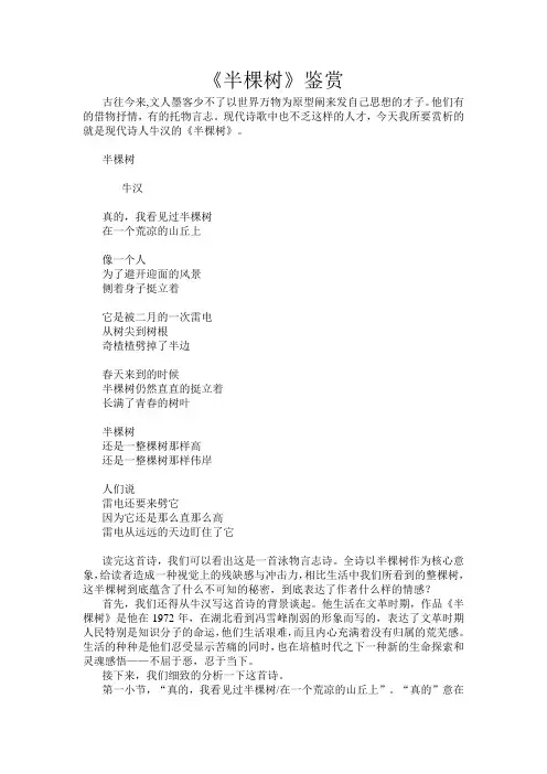 《半棵树》赏析