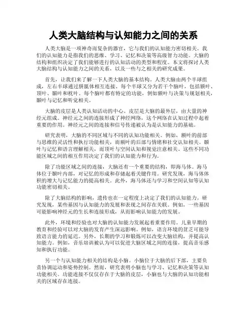 人类大脑结构与认知能力之间的关系