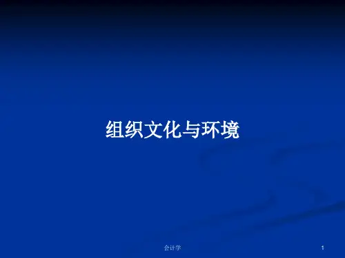 组织文化与环境PPT学习教案