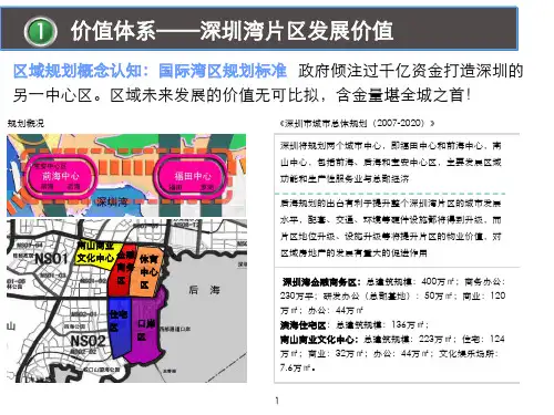 2012深圳湾片区规划 (3)全