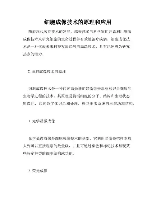 细胞成像技术的原理和应用