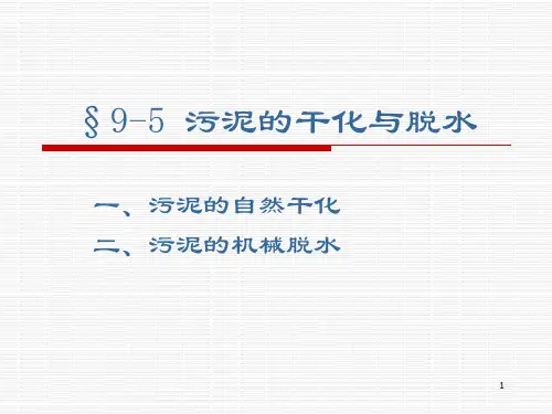 污泥的干化与脱水PPT课件