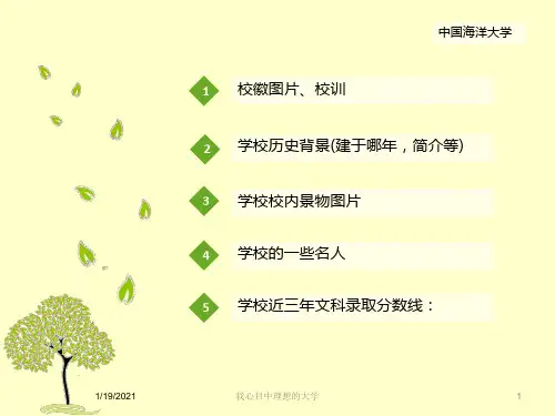 我心目中理想的大学培训课件