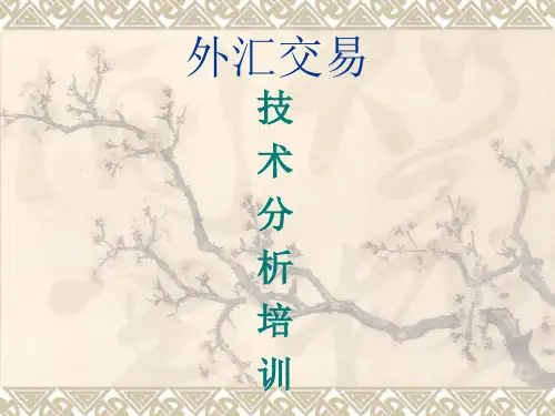 外汇交易技术分析(PPT 65页)