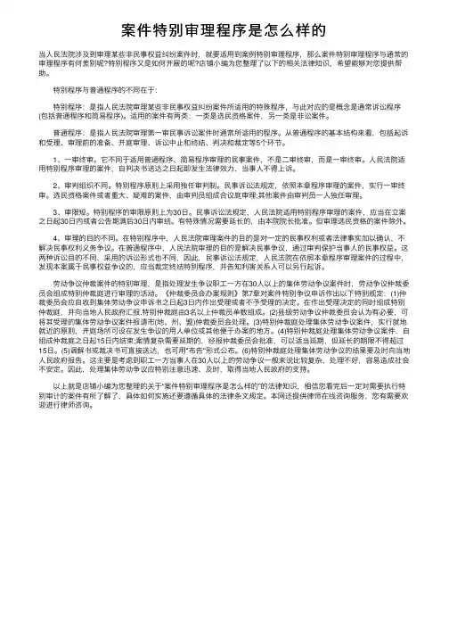 案件特别审理程序是怎么样的