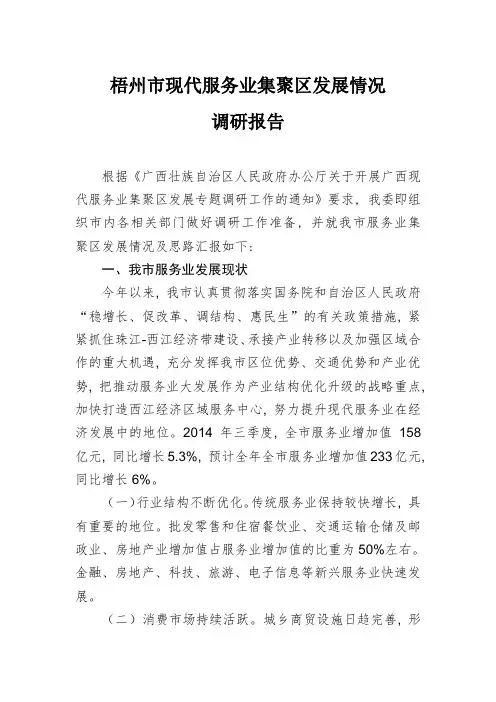 梧州市现代服务业集聚区发展情况调研报告