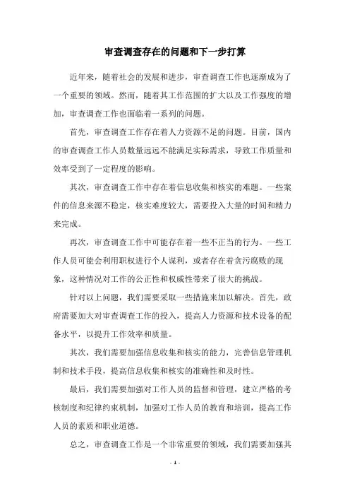 审查调查存在的问题和下一步打算