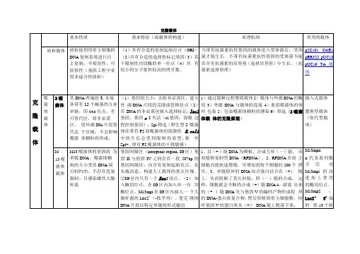 克隆载体与表达载体