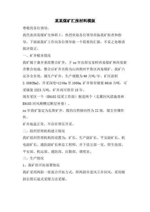 某某煤矿汇报材料模版