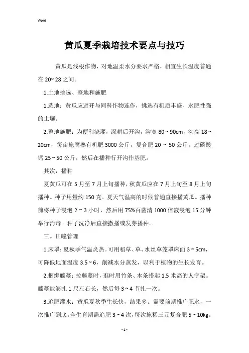黄瓜夏季栽培技术要点与技巧