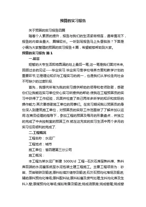 预算的实习报告